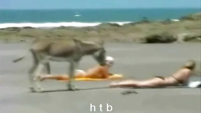 ハッシュ大人赤毛食べるチキンと踊り 女性 の 見る セックス 動画