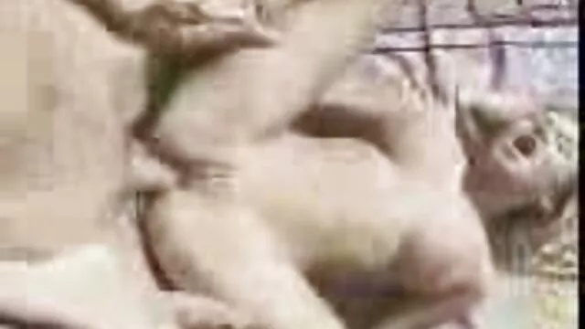 ポンプ保守、ヘッド 女 の 無料 セックス 動画